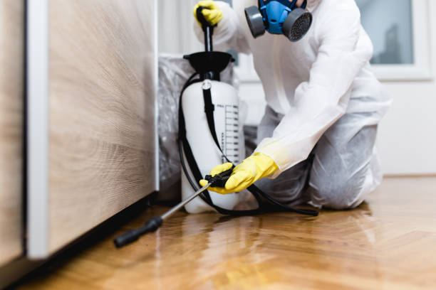 Best Insect Control  in Cambridge, OH