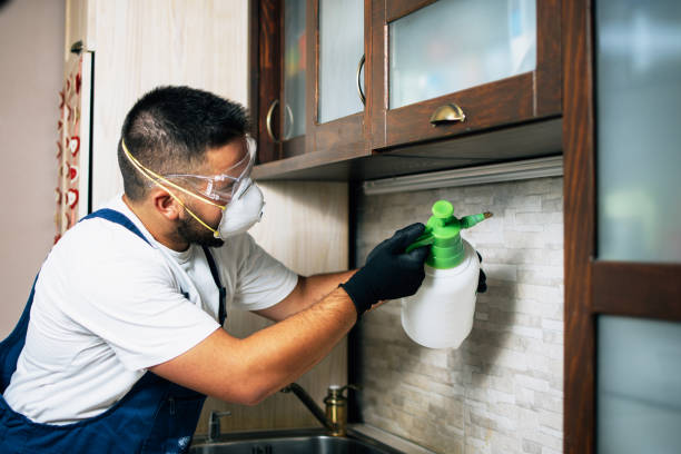 Best Local Pest Control Services  in Cambridge, OH