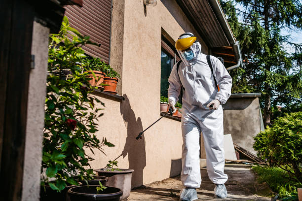 Best Emergency Pest Control  in Cambridge, OH