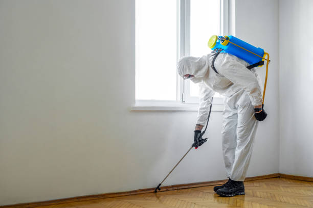 Best Commercial Pest Control Services  in Cambridge, OH