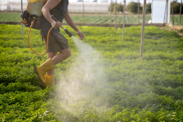 Best Ant Control Services  in Cambridge, OH