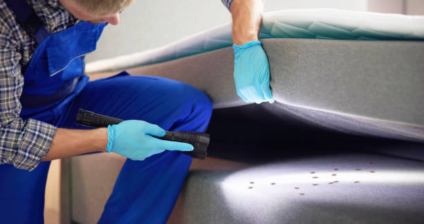 Best Best Pest Control Companies  in Cambridge, OH