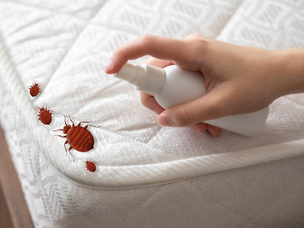 Best Affordable Pest Control Services  in Cambridge, OH