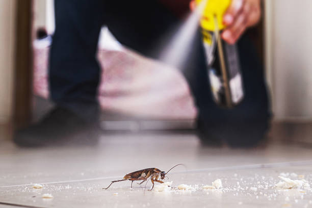 Trusted Cambridge, OH Pest Control Experts