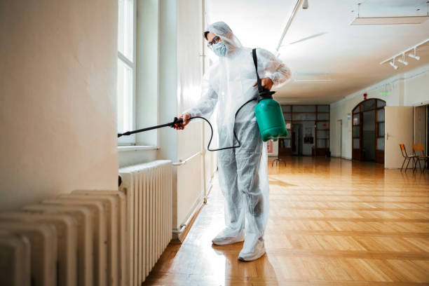 Best Wasp Removal Services  in Cambridge, OH