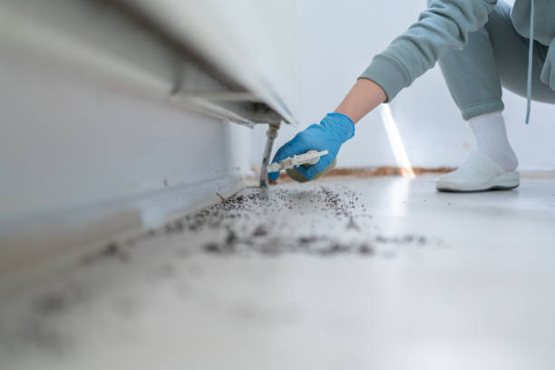 Best Mosquito Control Services  in Cambridge, OH
